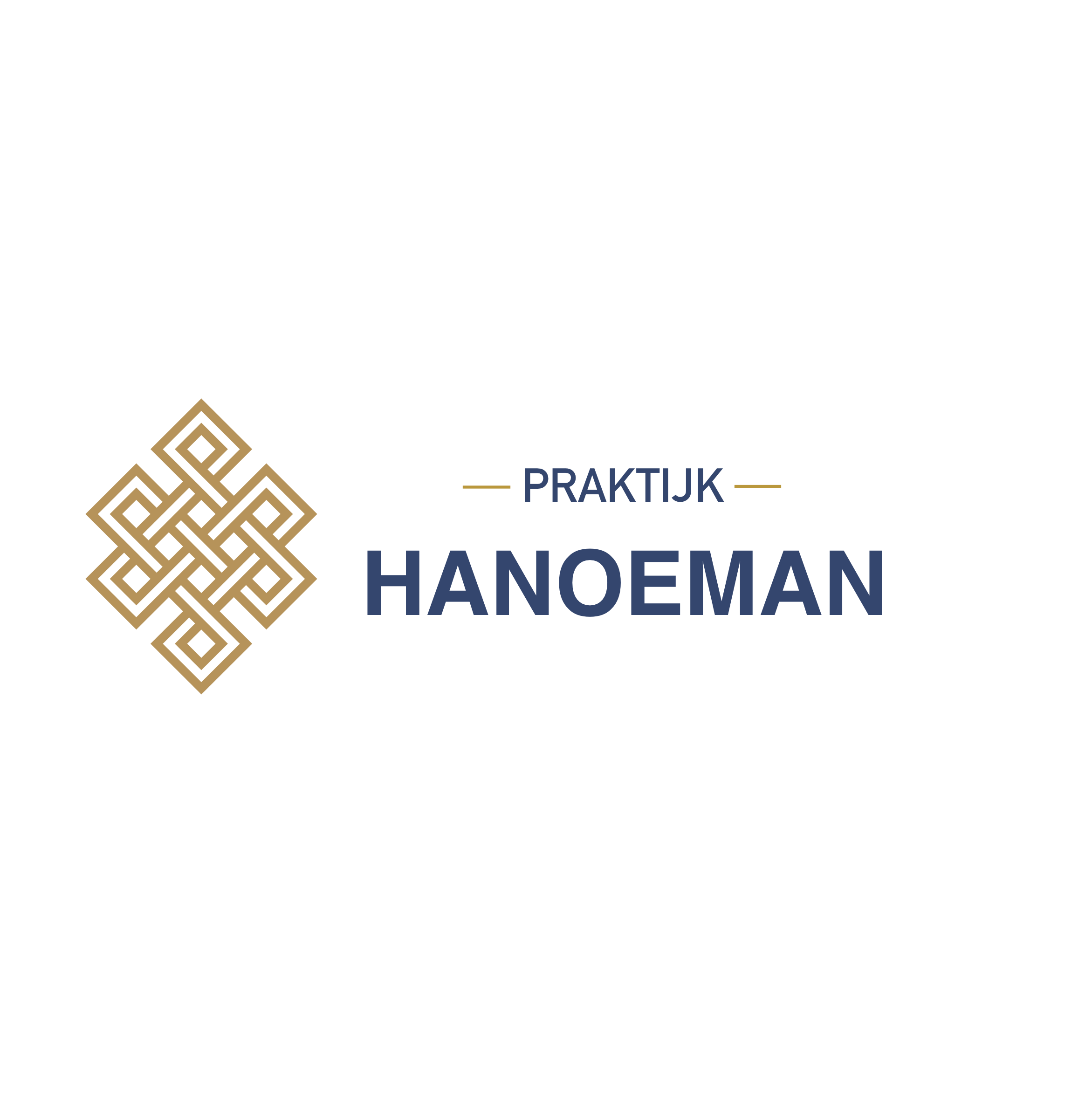 Praktijk Hanoeman